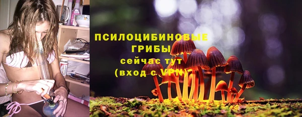 прущая мука Балахна